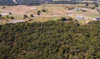 330 Rolling Ranch Blvd, Alvord, TX 76225