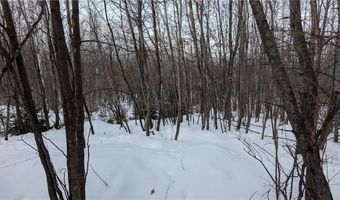 N County Highway W lot 0, Winter, WI 54896