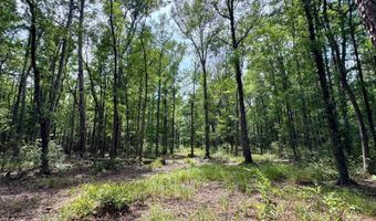 Fox Paw Court, Branchville, SC 29432
