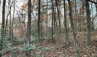 0 PEBBLE CREEK # 7 Ln, Alto, GA 30510