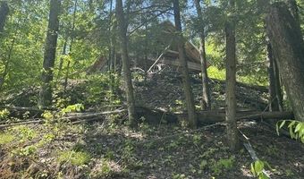 5436 Valley Rd, Alanson, MI 49706