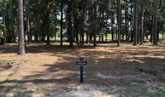 47 Manchester Ct, Bluffton, SC 29910