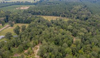 Tbd 371 Highway, Coushatta, LA 71019