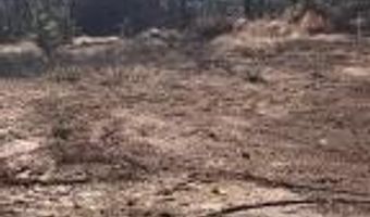 0000 Crow Mountain Rd, Atkins, AR 72823