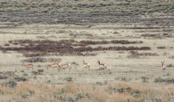 TRACT 9 E BEAVER RIDGE Road, Daniel, WY 83115