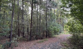 0 Providence Cir, Awendaw, SC 29429