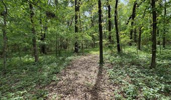 Tract 1 E Bay Road, Atkins, AR 72823