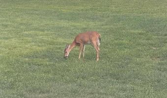 2814 Shopes Creek Rd, Ashland, KY 41102