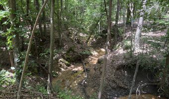 Beauty Hill Rd lot 4, Bethel Springs, TN 38315