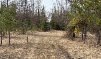 5280 Cathro Rd, Alpena, MI 49707