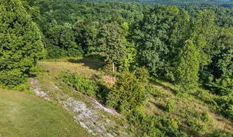 2 26 AC Hidden Cove Ln Lot 1, Allons, TN 38541