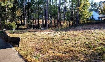 1013 Coogler Crossing Dr, Blythewood, SC 29016