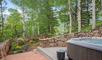730 S Galena St, Aspen, CO 81611