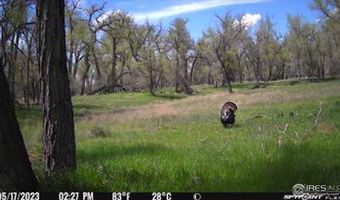 0 County Road 170, Agate, CO 80101