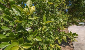 1736 Bellington Ln, Fallbrook, CA 92028