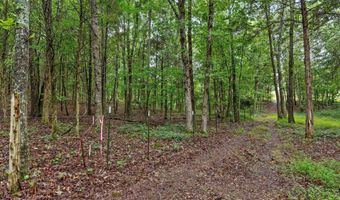 12712 Cranfield Rd, Birchwood, TN 37308