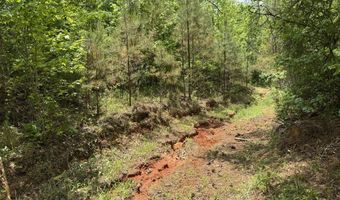 Rutherford Road, Batesville, MS 38606