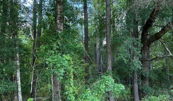 Crestview Dr lot 38, Abbeville, GA 31001