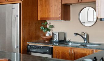 935 E Hopkins Ave 7, Aspen, CO 81611