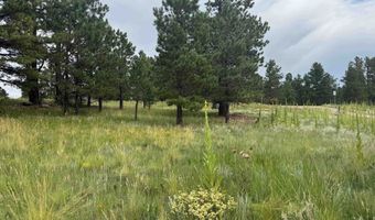 Whymans Black Lake Estates lot 39, Angel Fire, NM 87710