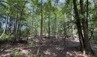 Fox Paw Court, Branchville, SC 29432