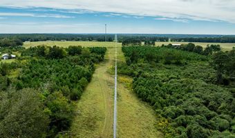 20 Ac State Hwy 95 Columbia Rd, Abbeville, AL 36310