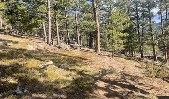 399 N Skinner Rd, Allenspark, CO 80510