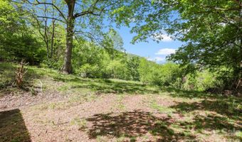 1007 N Fork Rd, Barnardsville, NC 28709