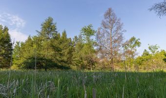 28 Mile Rd, Albion, MI 49224