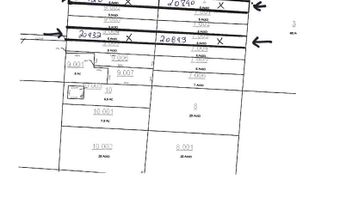 County Road 99, Abbeville, AL 36310