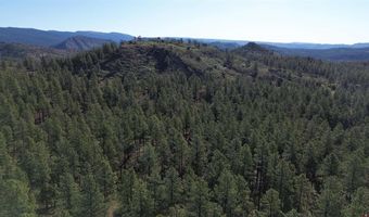 782 Hawks Meadow Dr, Bayfield, CO 81122