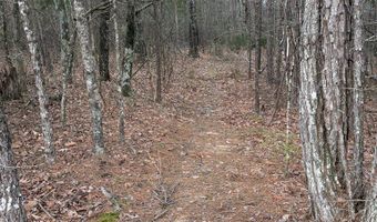 Hwy 9, Blue Springs, MS 38828