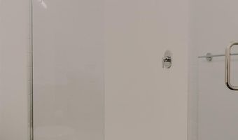 220 E LEWIS Ln, Basalt, CO 81621