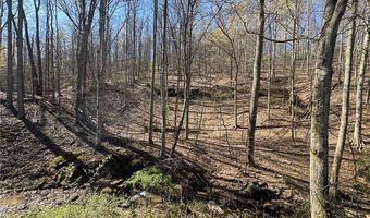 92 Frank Fork Rd, Alkol, WV 25501
