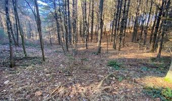 Tbd Oak Grove Rd, Austinville, VA 24312