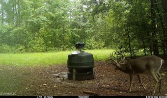 2233 Holloman Rd, Bentonia, MS 39040