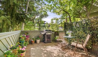 125 E Hyman Ave 1A, Aspen, CO 81611