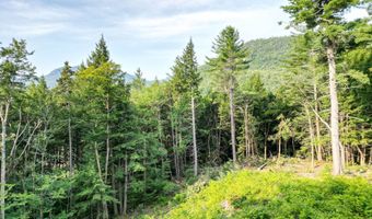 F4 Cave Mountain Drive, Bartlett, NH 03812