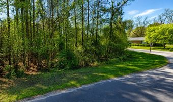 80 ACRE Monnie St, Ashburn, GA 31714