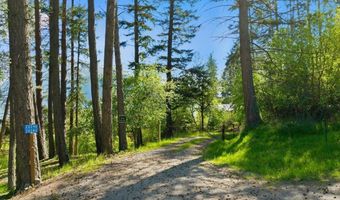20246 E Cape Horn Rd, Bayview, ID 83803