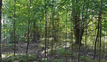 8688 Miller Rd, Alanson, MI 49706