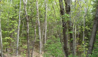 208 Grafton Turnpike Rd, Canaan, NH 03741