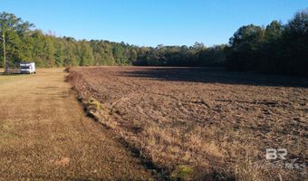 Lot 1 Freemanville Drive, Atmore, AL 36502