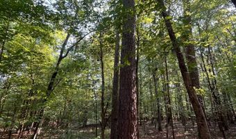 0 Nick Creek Rd, Bernice, LA 71222