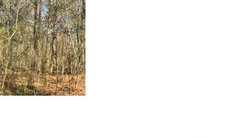 0 AURORA Dr 35, Alpine, AL 35014