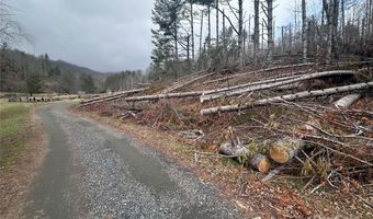 99999 Big Rock Creek Dr, Bakersville, NC 28705