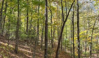 345 Christa Ln, Arden, NC 28704