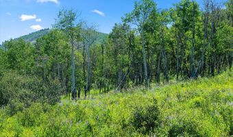 Trentaz Drive, Aspen, CO 81611