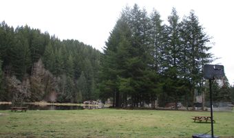 71381 FISHHAWK Rd, Birkenfeld, OR 97016