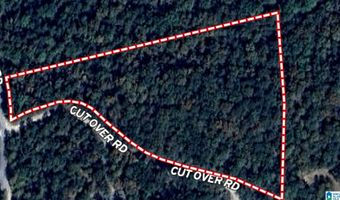 0 GIBSON COVE Dr 7.10 Acres Plus . 58 ac Access Lot, Ashville, AL 35953